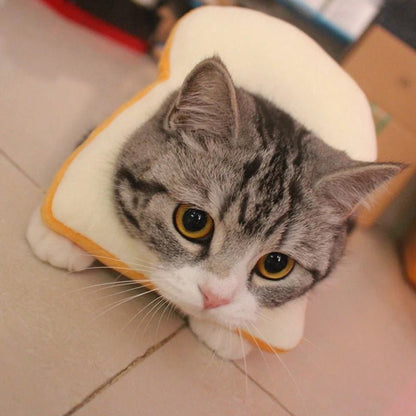 Collier de Récupération Toast pour Chat – Cône Anti-Léchage Forme Pain de Mie - Furlo