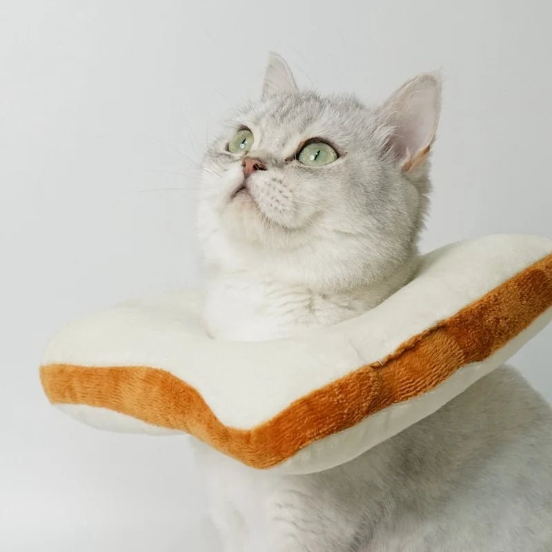 Collier de Récupération Toast pour Chat – Cône Anti-Léchage Forme Pain de Mie - Furlo