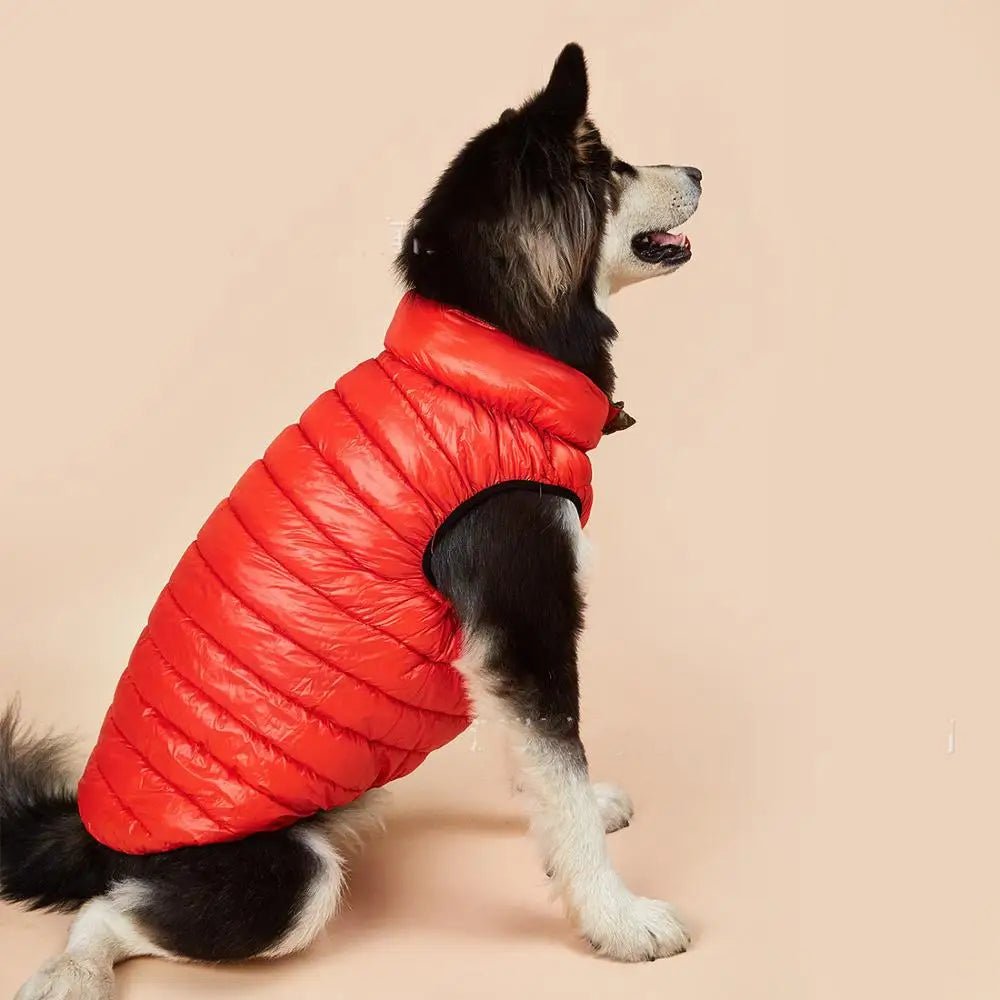 Vêtement pour Chien Automne/Hiver – Pull Doux & Chaud | 6 Couleurs, Tailles S à 5XL - Furlo