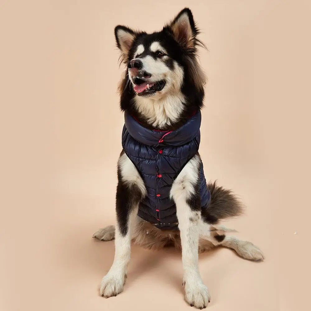 Vêtement pour Chien Automne/Hiver – Pull Doux & Chaud | 6 Couleurs, Tailles S à 5XL - Furlo